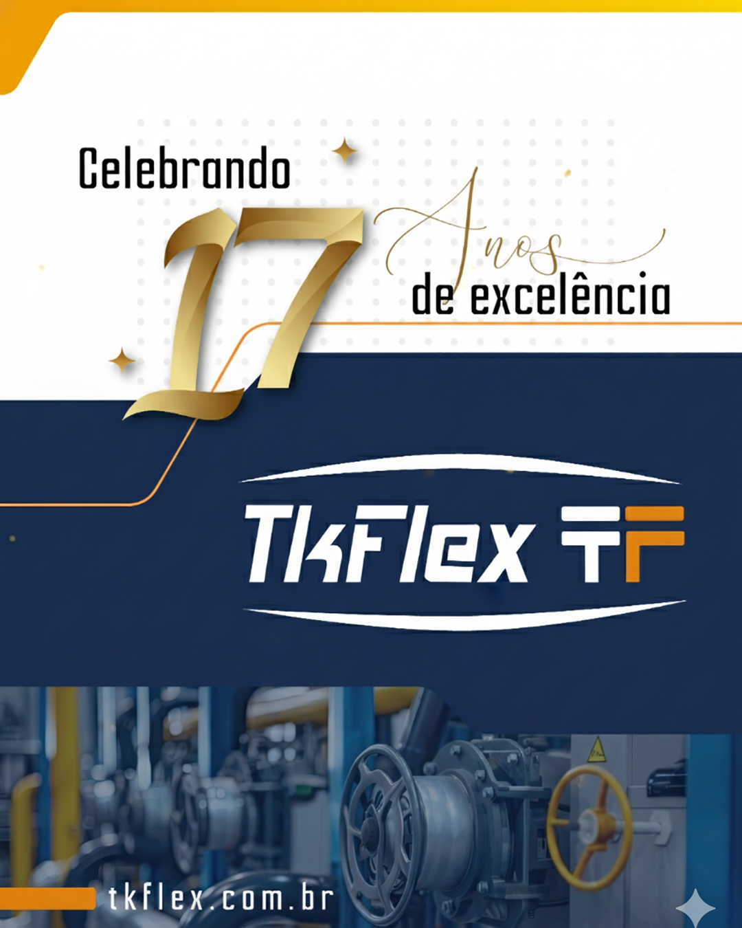 tkflex-17 anos